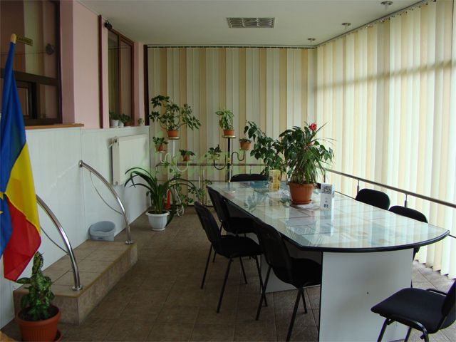 luxartim.ro-7