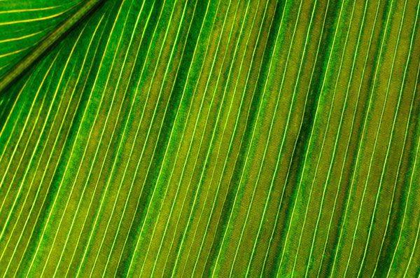 luxartim.ro-abstract, background, beautiful (5)