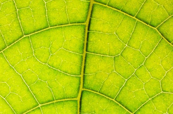 luxartim.ro-abstract, background, beautiful (9)