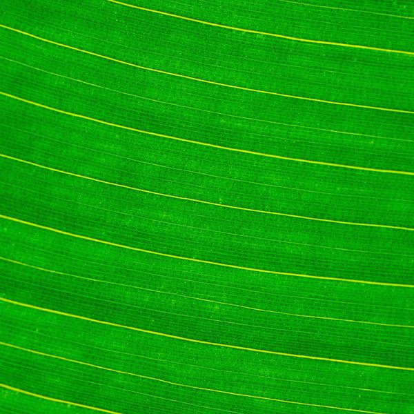 luxartim.ro-abstract, background, green (3)