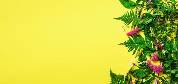 luxartim.ro-background, floral, flower (2)