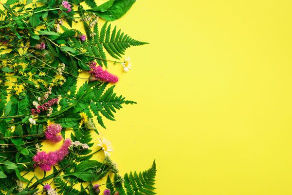 luxartim.ro-background, floral, flower