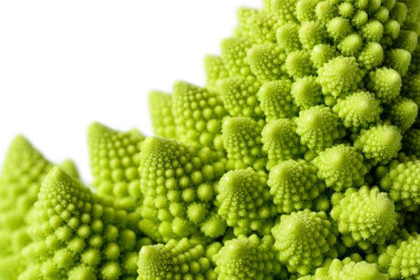 luxartim.ro-green, flower, vegetable (2)