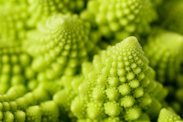 luxartim.ro-Green, Flower, Vegetable (3)
