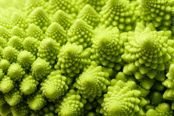 luxartim.ro-green, flower, vegetable