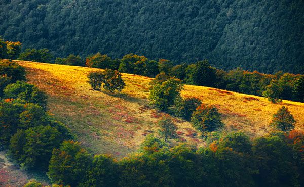 luxartim.ro-abstract, autumn, background (2)